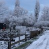 winter op de volkstuinen